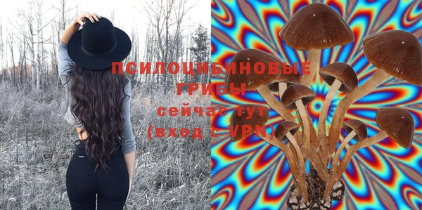 дурь Алексин